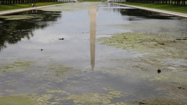 Trump's Reflecting Pool: A Symbol of Environmental Challenges