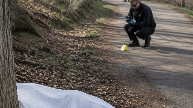 Tragic Discovery: Body Found in Pennsylvania Walking Path | rtp slot royal togel, top online gamblin