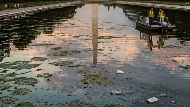 Controversy Surges Over Issues at Trump's Reflecting Pool | situs target4d, wala meron live 2021, pa