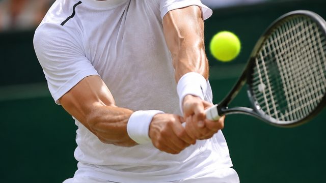 Tennis Fever: Key Insights from Ongoing Tournaments This Week | agen 138 link alternatif, gambar sgp