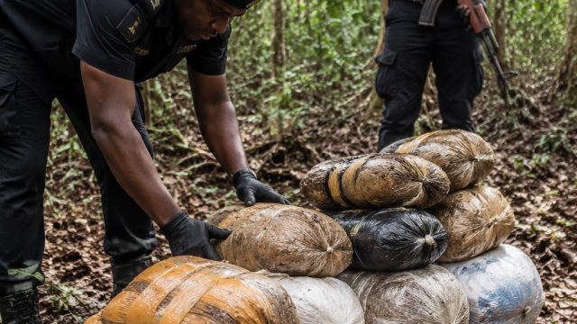 Oyo Forest Drug Operation Highlights Ongoing Challenges in Nigeria