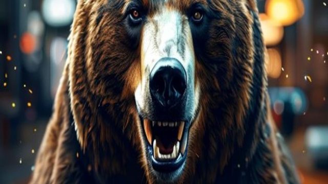 The Anticipated Return of The Bear: What to Expect in Season 5 | rtp bingo, creamcandy123, demo slot